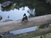 in het parque nacional